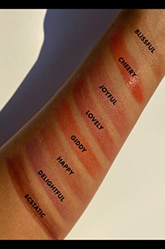 e.l.f. Hydrating Core Lip Shine with Shea Butter & Vitamin E, Tinted Lip Balm for A Smooth, Glossy Finish & Long-Lasting Moisture, Delightful Mauve