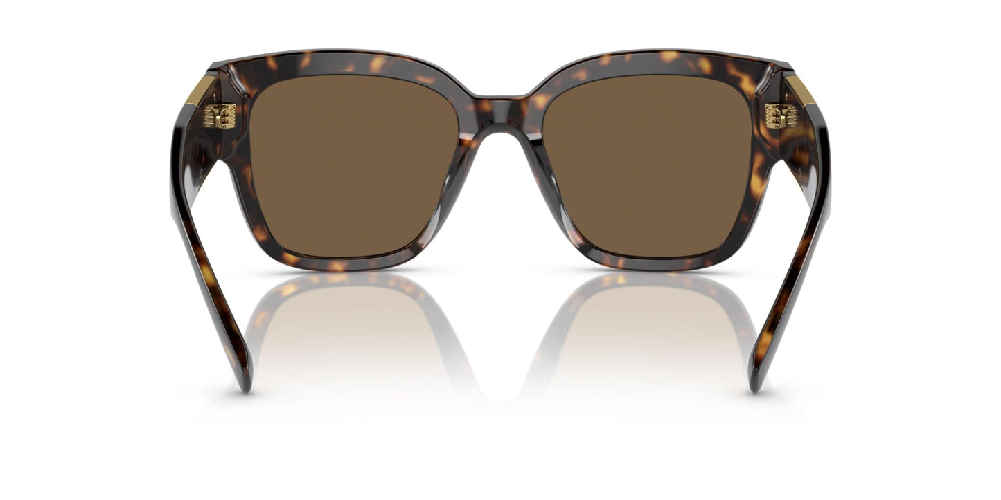 Versace VE 4437U 108/73 Havana Plastic Square Sunglasses Brown Lens