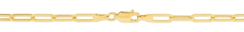 Floreo 14k Yellow Gold 3.2mm Lite Paperclip Link Chain Anklet - 10 Inch