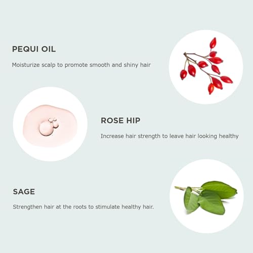 Hairitage Volumizing Hair Mousse for Texturizing Fine Hair, Root Lift & Frizz Control Styling, Pequi Oil, Rose Hip & Sage, Lightweight, Sulfate & Paraben Free, Vegan, 7 oz