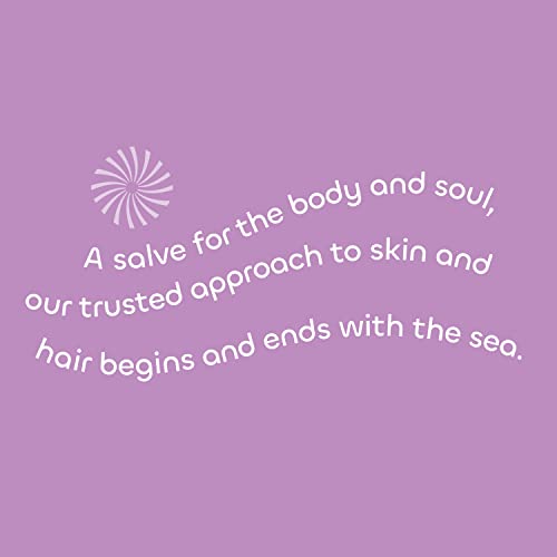 Seaweed Bath Co. Volumize Shampoo, Lavender Scent, 12 Ounce, Sustainably Harvested Seaweed, Green Algae, Barley Protein, For Normal to Fine Hair