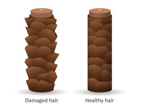 DermOrganic Argan Oil of Morocco Leave-In Hair Treatment, 4 oz