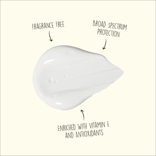 Sun Bum Original SPF 50 Sunscreen Face Lotion - Travel Size - 3 oz