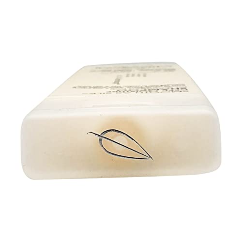GIOVANNI Eco Chic Smooth as Silk Deep Moisture Shampoo, Calms Frizz, 8.5 oz