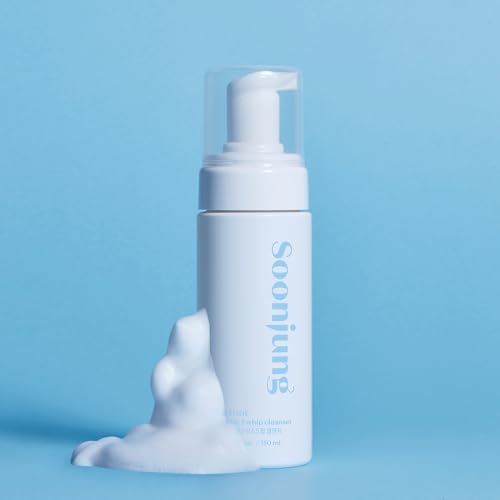 ETUDE SoonJung pH 6.5 Whip Face Cleanser Big Size, 8.45 fl oz