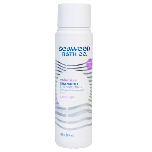 Seaweed Bath Co. Volumize Shampoo, Lavender Scent, 12 Ounce, Sustainably Harvested Seaweed, Green Algae, Barley Protein, For Normal to Fine Hair