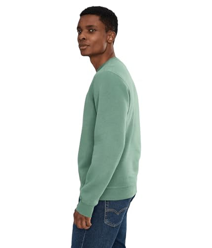 US POLO ASSN, Mens, Long Sleeve Popover Crew Neck Fleece Sweatshirt, Evening Cactus, X-Large