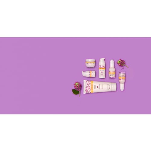 Burt's Bees Renewal Firming Face Cream, Anti-Aging Retinol Alternative, Mothers Day Gifts for Mom, Moisturizing Natural Origin Skin Care, 1.8 Ounce (Packaging May Vary)