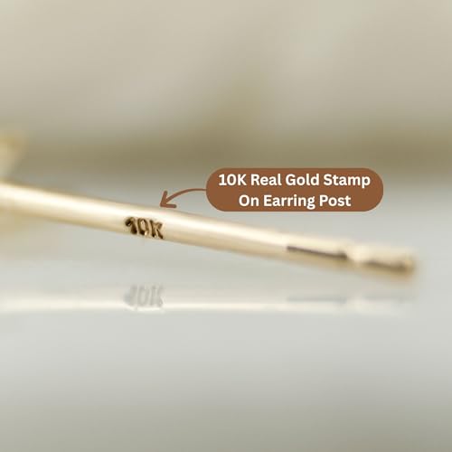 10k Solid Gold Ear Studs, Real Gold Stud Earrings, Dainty Gold Earrings, Minimalist Gold Ear Studs - Serena Sparkles (Dolphin)