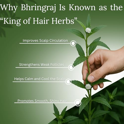 BASIC AYURVEDA Bhringraj Oil for Hair Growth | 3.38 Fl Oz (100ml) | Strengthens Roots & Reduces Hair Loss | Natural Ayurvedic Herbal Oil for Dandruff Control & Scalp Nourishment
