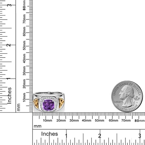 Gem Stone King Two-Tone Cushion Cut Ring for Men | Amethyst | 7