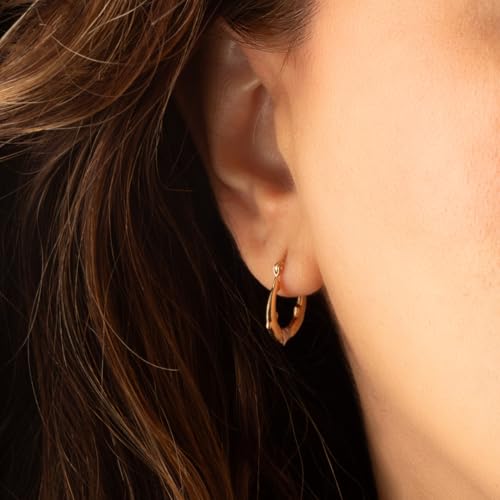 10K Two-Tone Gold Double Dolphin Heart Hoop Earrings