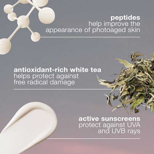 Dermalogica Dynamic Skin Recovery SPF 50, Anti-Aging Moisturizer, 1.7 fl oz