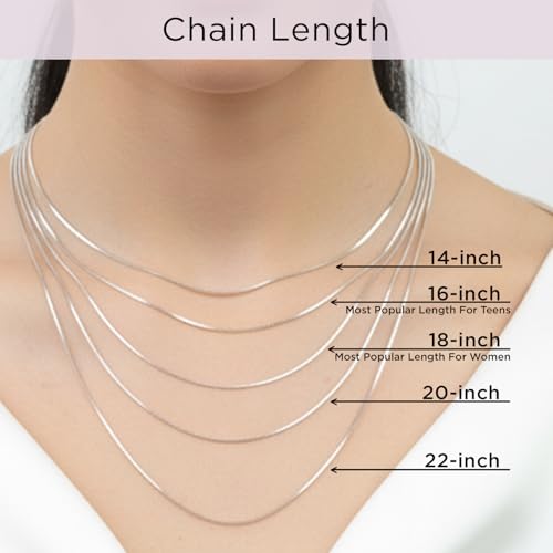 Jewelili 10K Solid White Gold Box Link Chain Necklace for Women 18 Inch