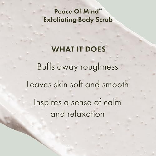 Origins 3-Piece Peace of Mind Travel Hand & Body Skin Care Gift Set | Exfoliating Scrub, Hand Cream & Aromatherapy Experience | With Eucalyptus, Peppermint & Basil Essential Oils | Wellness Gift