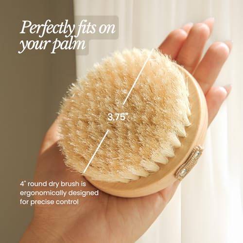 Bare Botanics Dry Brushing Body Brush for Lymphatic Drainage