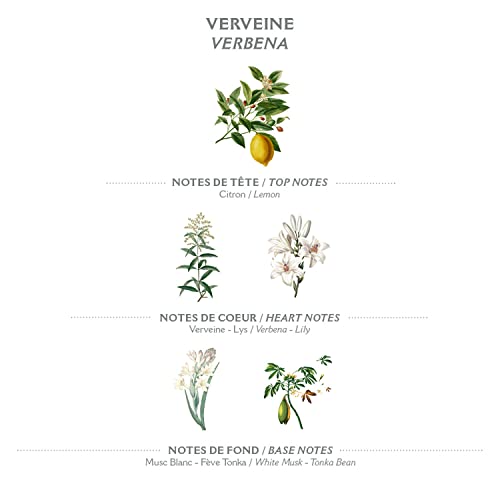 Panier des Sens Lemon Verbena Roll-On Eau de Toilette, 0.3 fl oz