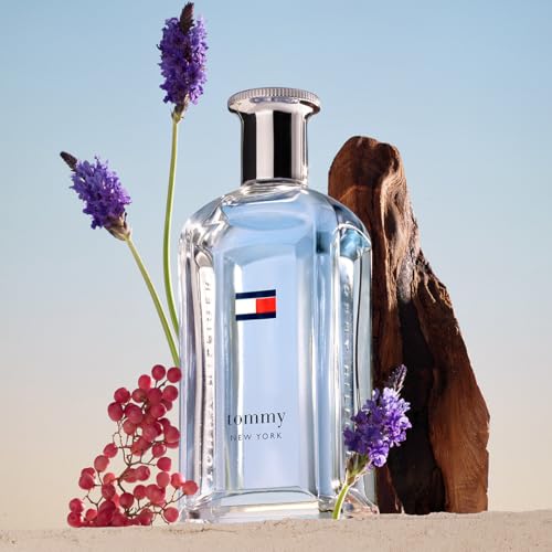 Tommy Hilfiger Tommy New York Eau de Toilette, For Men,100ml / 3.4 fl.oz