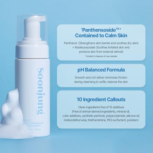 ETUDE SoonJung pH 6.5 Whip Face Cleanser Big Size, 8.45 fl oz