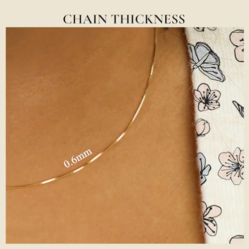 Everyday Elegance Solid 10K Yellow Gold Necklace for Women, 16 Inch