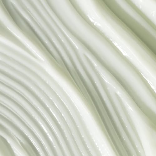 divi Volumizing Conditioner for Fine, Thin Hair with Rice Protein | 12 fl oz
