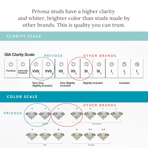 Privosa - 1 Carat Lab Grown Diamond Stud Earrings in 14K White Gold
