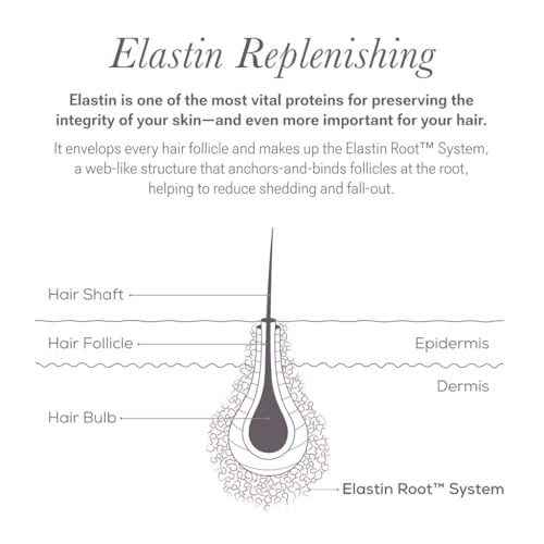 NULASTIN Eyelash Serum & Brow Serum - Lash & Brow Dual System - Eyebrow & Eyelash Enhancing Serums with Keratin & Peptides for Fuller Looking Lashes & Brows (2 Count, 0.1 Fl Oz Each)