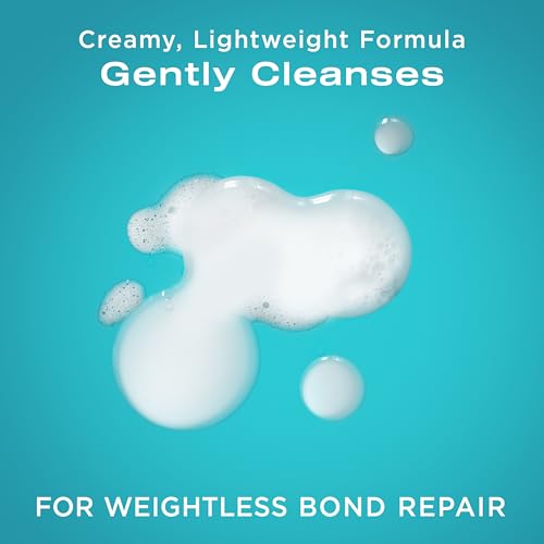 OGX Repair + Protect Bond Protein Repair Shampoo and Conditioner Set, targets damaged areas for bond protection, sulfate-free, hydrating care for color-treated, dry hair, 13 fl oz each (Pack of 2)