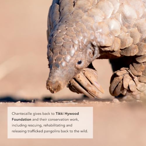 Chantecaille Luminescent Eye Shade, Pearlescent Light-Catching Multi-Dimensional Shimmer Eyeshadow, Pangolin