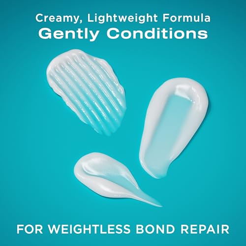 OGX Repair + Protect Bond Protein Repair Shampoo and Conditioner Set, targets damaged areas for bond protection, sulfate-free, hydrating care for color-treated, dry hair, 13 fl oz each (Pack of 2)