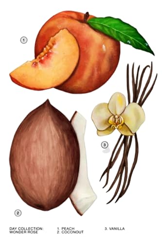 Zara Wonder Rose for Women Fruity Floral Perfume with Peach Red Berries Jasmine and Coconut Vanilla Cream Eau de Toilette 30ml (1.0 fl. oz.)