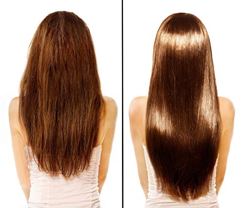 Hair Chemist Superior Growth Jamaican Black Castor Hair Oil 7 oz.