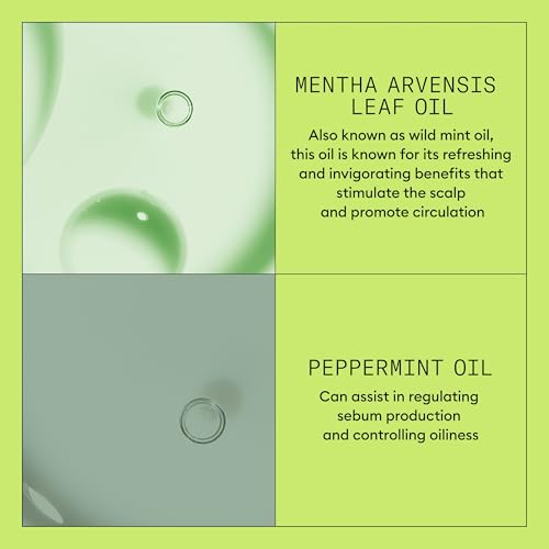 NIOXIN System 2 Scalp Care | Conditioner | Hair Thickening For Natural Hair