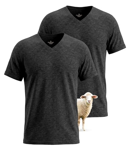 SUNCHIRI 2 Pack Merino Wool T Shirts for Men, Merino Wool V-Neck 100% Wool Base Layer, Breathable Undershirt for Travel, Fitness(Darkgrey, L)