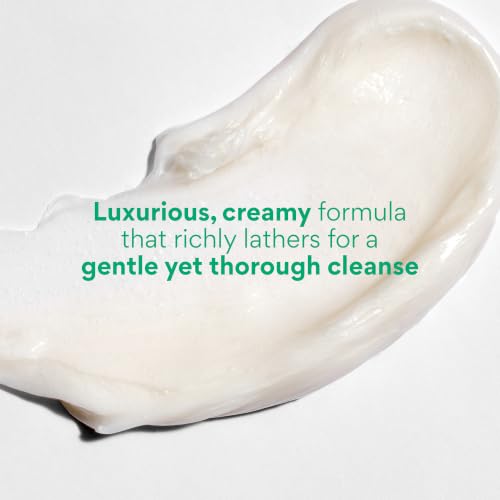 innisfree Green Tea Amino Acid Cleansing Foam | Hydrating Korean Face Wash | Gentle Lather | pH-Balanced Skincare | Sulfate-Free | Available in Gift Sets