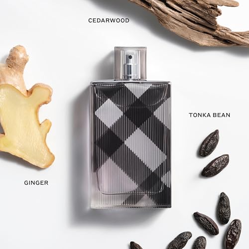 Burberry Brit For Him Eau de Toilette 3.3 fl oz