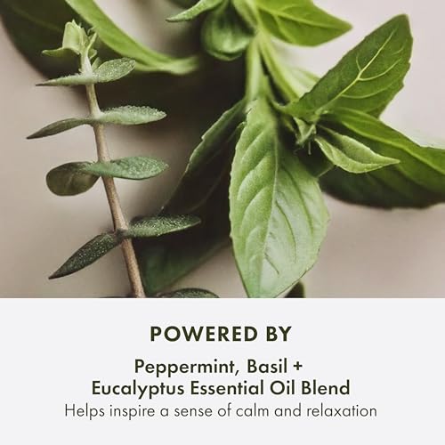 Origins 3-Piece Peace of Mind Travel Hand & Body Skin Care Gift Set | Exfoliating Scrub, Hand Cream & Aromatherapy Experience | With Eucalyptus, Peppermint & Basil Essential Oils | Wellness Gift