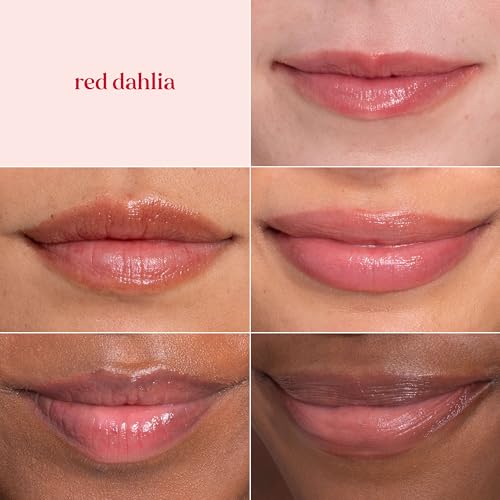 Burts Bees Tinted Lip Balm Value Pack, Includes Red Dahlia, Daisy and Rose, 8 Hour Moisture, Provides a Hint of Color, Nourishing Shea Butter, 100 Percent Natural Origin, 0.15 oz., Three Tubes