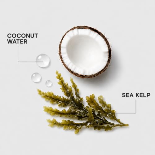 HydraSplash Hydrating Shampoo | For Fine, Medium, Dry Hair | Replenish Moisture | Add Hydration & Softness | With Sea Kelp & Coconut Water | 10.1 Fl Oz