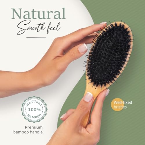 Belula Boar Bristle Hair Brush for Women and Men, Detangle Any Type of Hair