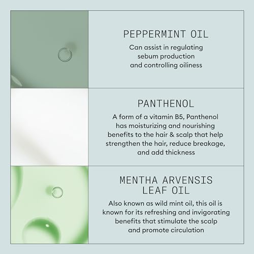 NIOXIN Density Defend Styling Collection | Texturizes and Volumizes