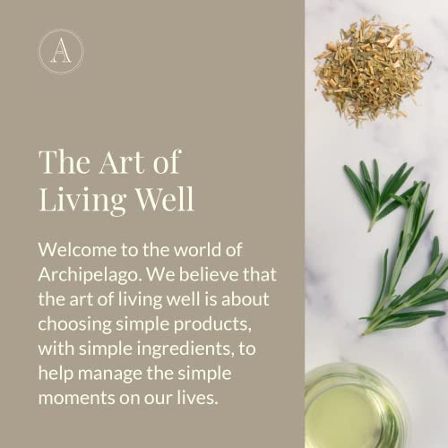 Archipelago Botanicals Milk Body Wash, Moisturizing Body Wash for Dry and Sensitive Skin, Soft and Smooth Skin, Free from Parabens, Phthalates, and GMOs (33 oz)