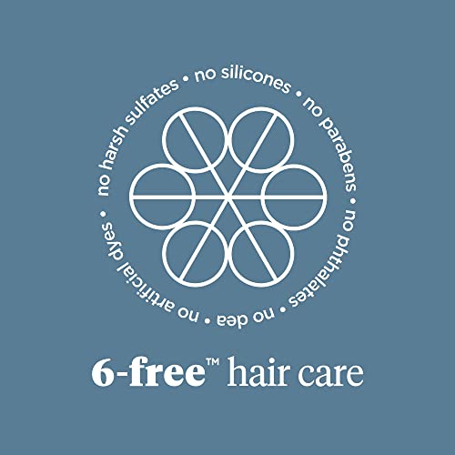 Briogeo Scalp Revival Charcoal + Tea Tree Scalp Treatment | Leave-In Serum