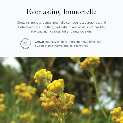 evanhealy Wild Carrot Immortelle Eye Balm | Organic Travel Moisturizer Stick | Hydrating Balm to Brighten Skin Around Eyes, Face, & Body | On the Go Moisturizer