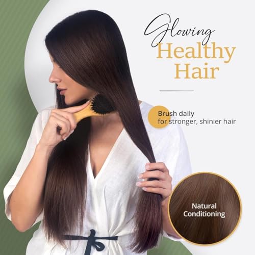 Belula Boar Bristle Hair Brush for Women and Men, Detangle Any Type of Hair