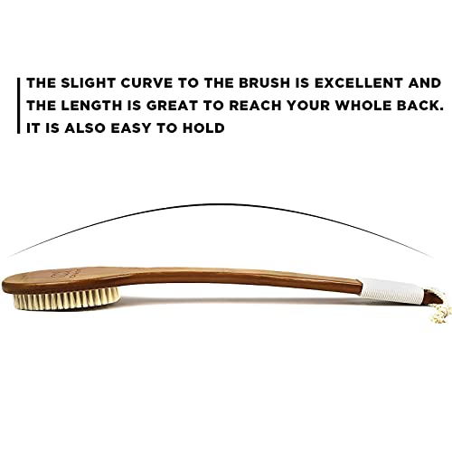 ICANdOIT-17.71Inch Natural Boar Bristles Anti-Slip Long Handle Bath Brush,Bent Handle Shower Scrubber for Exfoliating,Shower Back Brush,Exfoliation Set with Pumice Stone (1 Pack)