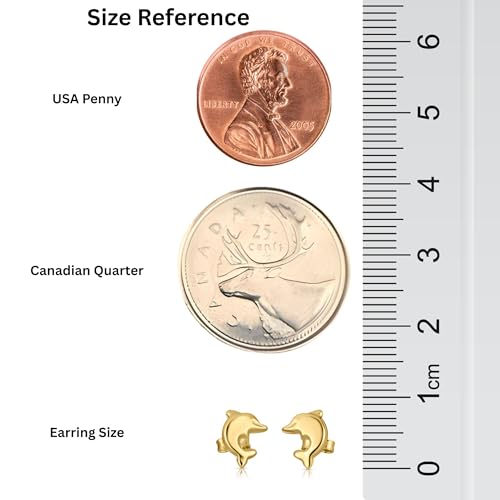 10k Solid Gold Ear Studs, Real Gold Stud Earrings, Dainty Gold Earrings, Minimalist Gold Ear Studs - Serena Sparkles (Dolphin)