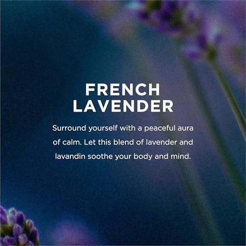 EO Body Oil, 8 Ounce (Pack of 2), French Lavender, Certified CCOF and made with Essential Oils for Men and Women for Massage and Moisture