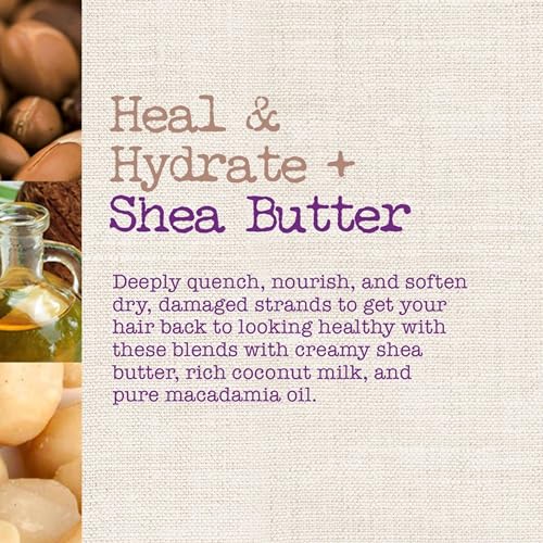 Maui Moisture Heal & Hydrate + Shea Butter Shampoo to Repair & Deeply Moisturize Tight Curly Hair with Coconut & Macademia Oils, Vegan, Silicone, Paraben & Sulfate-Free, 13 fl oz