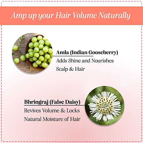 The Ayurveda Experience iYURA Ambhring Age Embrace Revitalizer and Hair Oil – Pro-age Hair Moisturizer for Bouncy, Shiny and Voluminous Hair – Ayurvedic Oil with Amla & Bhringraj – 3.4 fl oz